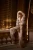 369.webp