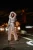 371.webp
